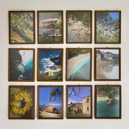 ゲストハウス Ivas Pelion Agios Ioannis (Thessaly)